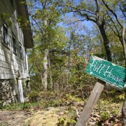 Top of the Hill