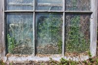 Window Garden