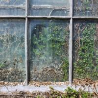 Window Garden