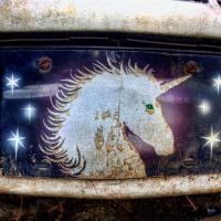 Unicorn Surprise