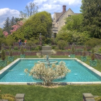 The Garden Pond