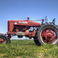 Out to Pasture