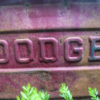 DODGE