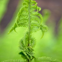 The Unfolding