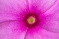 Gentle Curves