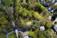 Garden Green