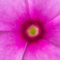 Gentle Curves