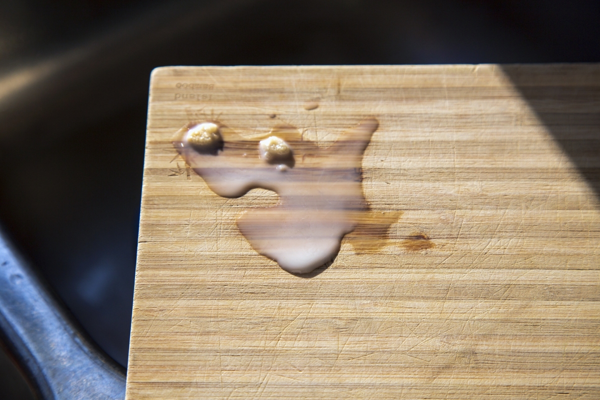 Cereal Shark