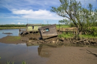 Low Tide