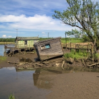 Low Tide