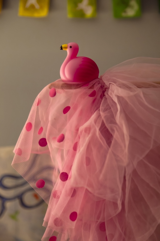 Beautiful Plumage