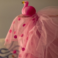 Beautiful Plumage