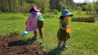 The Help