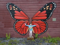 Flutterby Fay