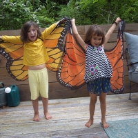 Butterfly School