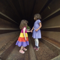 Down the Rabbit Hole