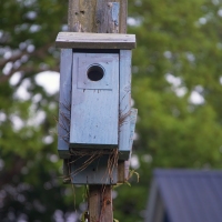 Anybody Home?