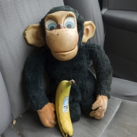 Manky the Monkey