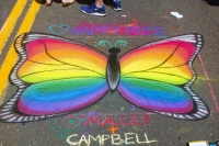 Rainbow Butterfly