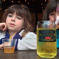 The Ciderhouse Rules!