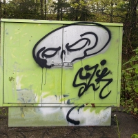 Skully