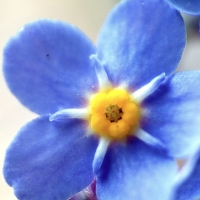 Small is Beautiful