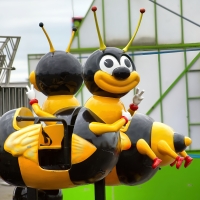Bee Day
