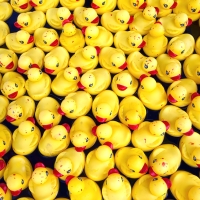 Quack