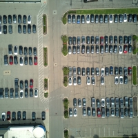 Tesla Turkeys
