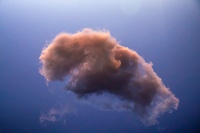 Claude the Cloud
