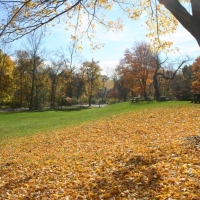 Spring Fall