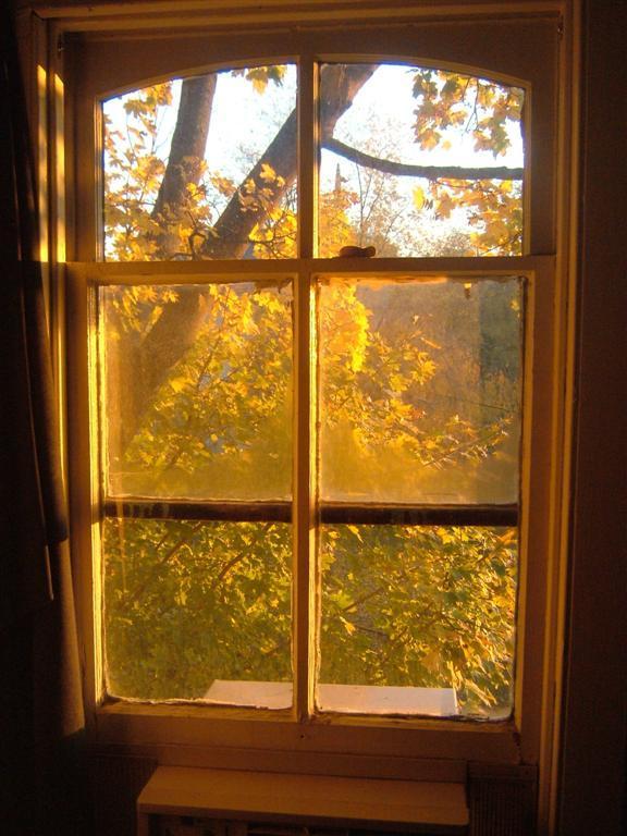 The View