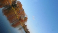 Water Fall