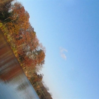Water Fall