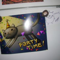 Party Cat on the Fridge