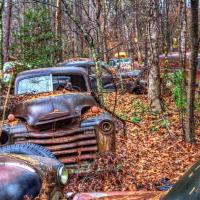 Treasure Trove
