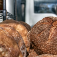 Daily Bread