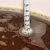 Champagne Cider