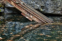 Reflect