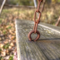Hanging In There