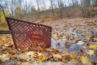 Watering Hole