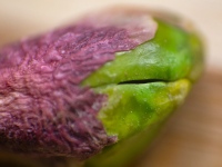 Pink Green Pod