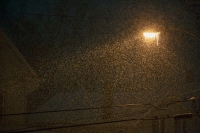 White Noise