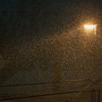 White Noise