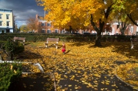Autumn Days