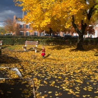 Autumn Days