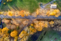 A Road Some Trees A Park Here Some Cars