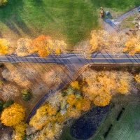 A Road Some Trees A Park Here Some Cars