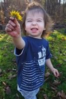 Foraging