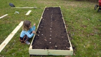 Putting the Garlic to Bed